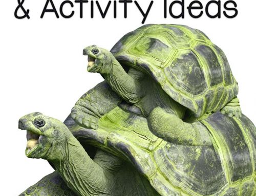Adverbs Mini-Lesson & Activity Ideas