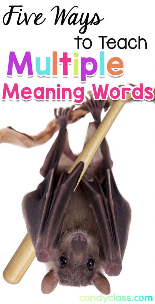 Teaching Multiple Meaning Words or Homophones